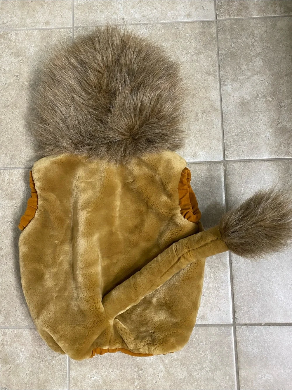 Lion Halloween Costume - Wizard of Oz